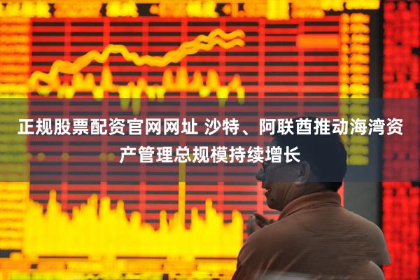 正规股票配资官网网址 沙特、阿联酋推动海湾资产管理总规模持续增长